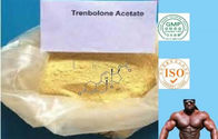 Stéroïdes CAS de Trenbolone d'acétate de Trenbolone 862-89-5 C20H24O3