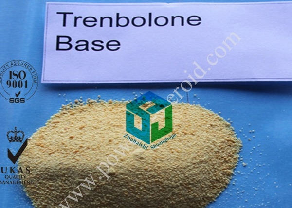 Les stéroïdes pharmaceutiques de Trenbolone saupoudrent T 10161-33-8, muscle gagnant le supplément